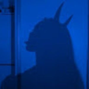 Meet your Posher, Ayana